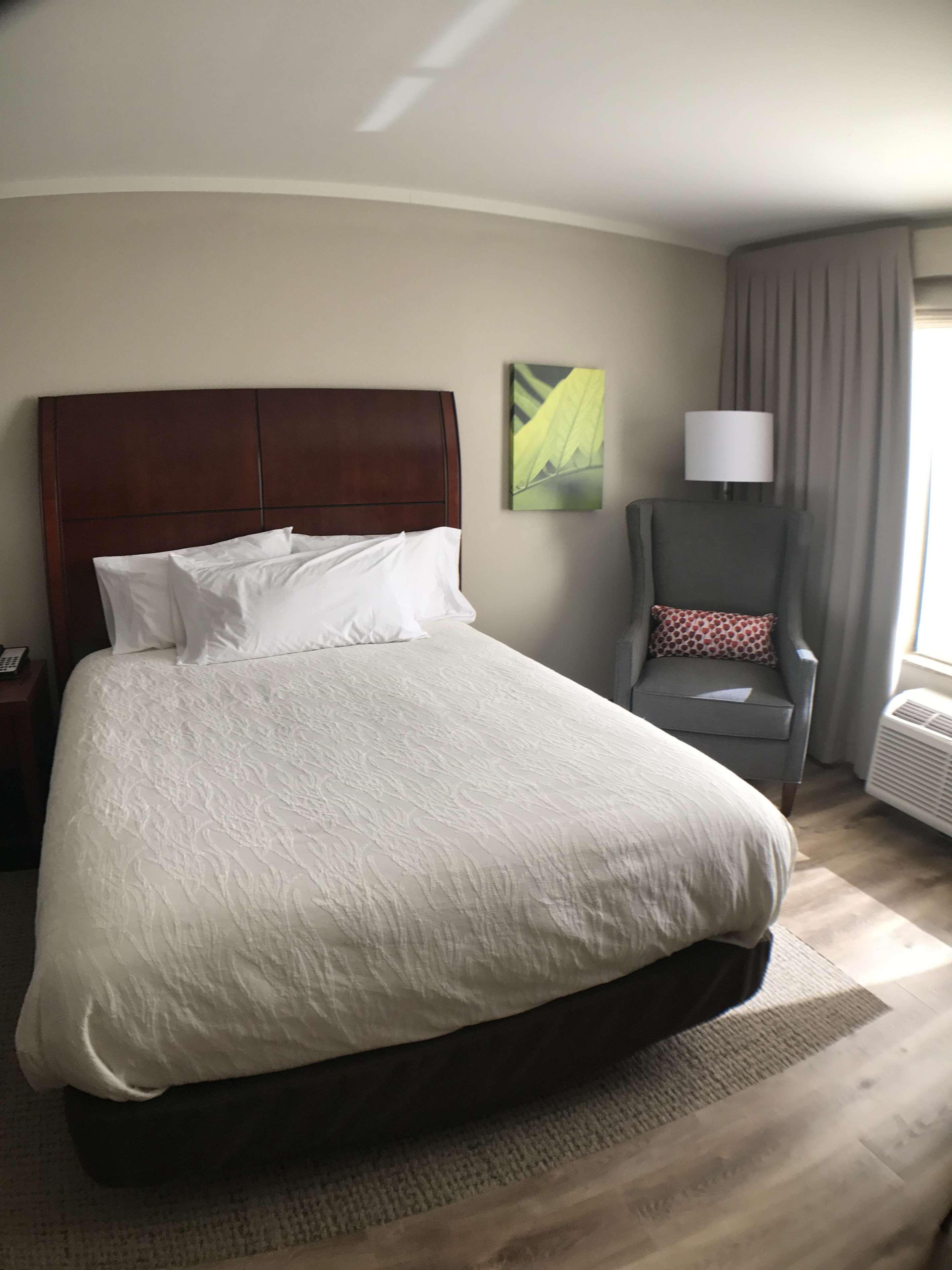 Hilton Garden Inn Bowling Green Exteriör bild